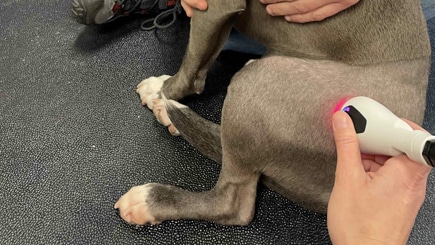 Laser Therapy
