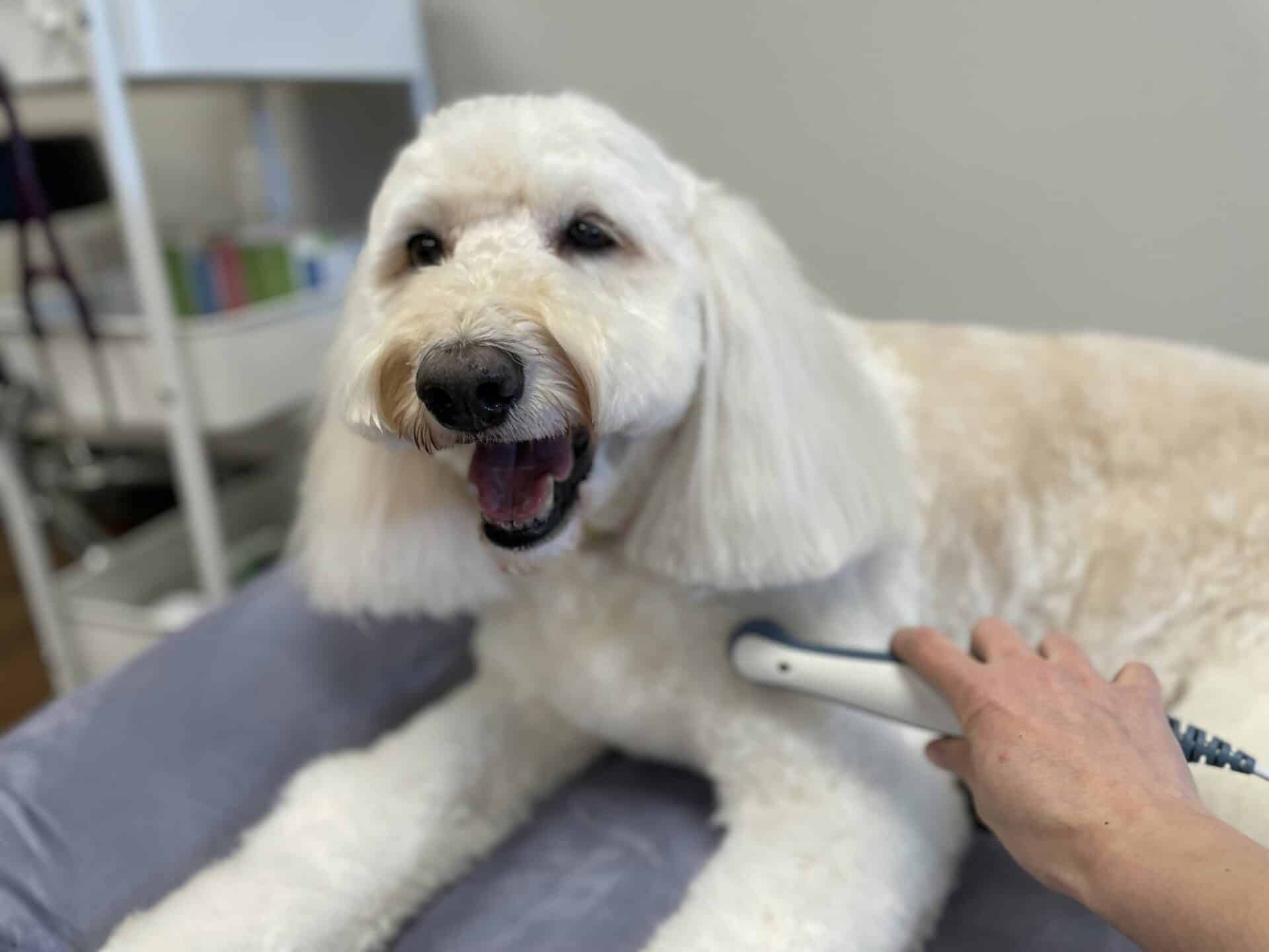 Therapeutic Ultrasound