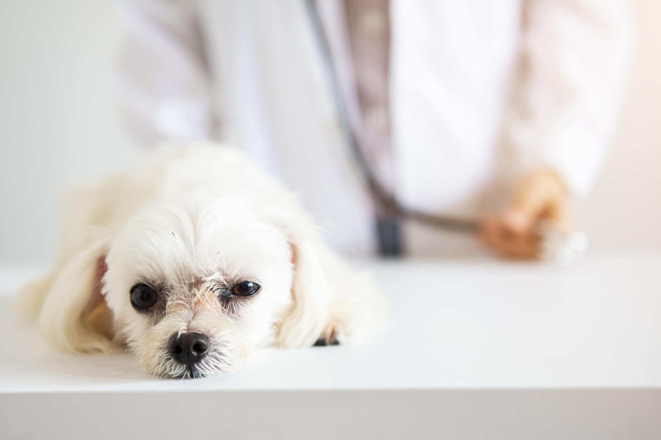 What to Expect During a Laser Therapy Session