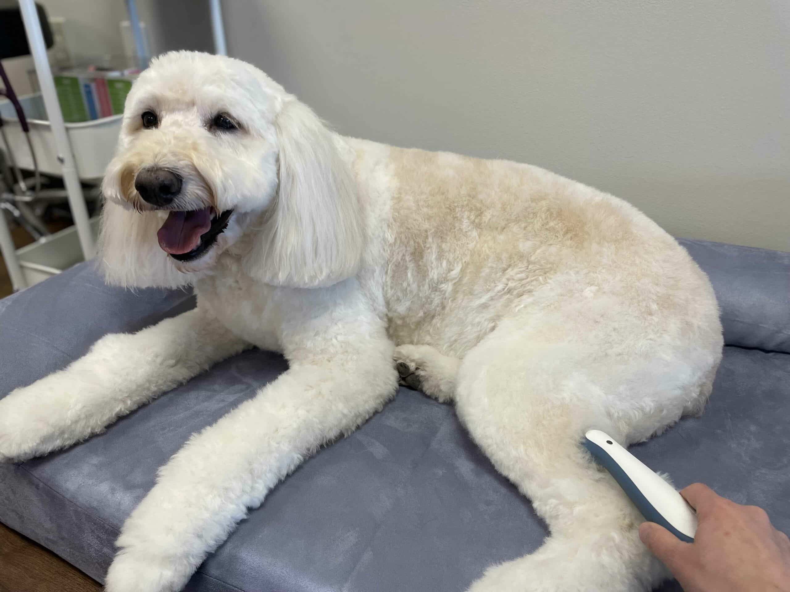 What to Expect During a Therapeutic Ultrasound Session